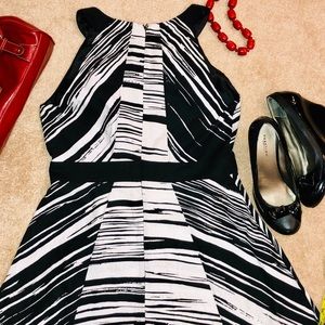 New York & Company zebra print dress 10